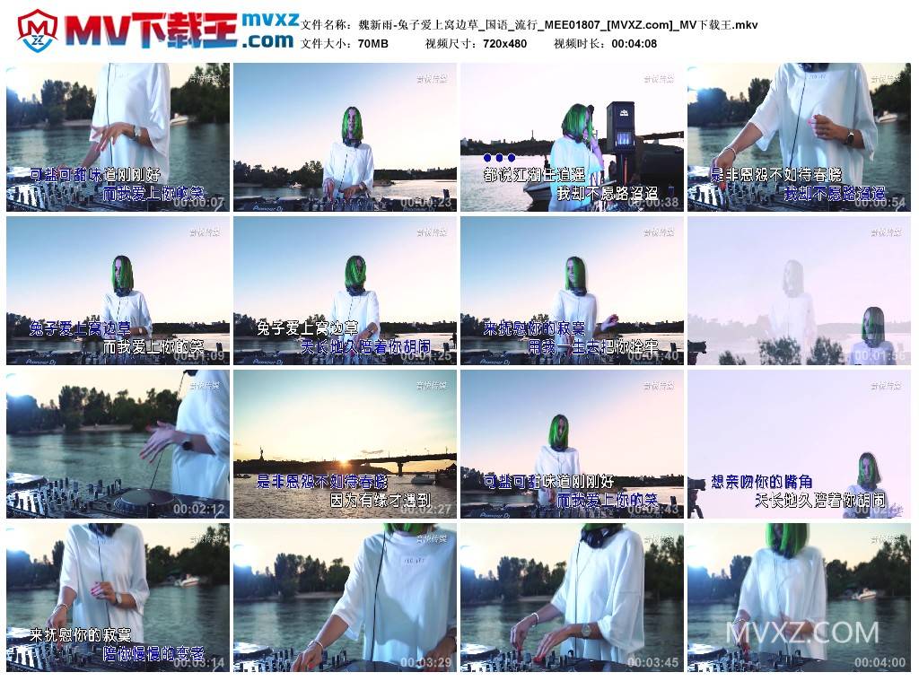 魏新雨-兔子爱上窝边草_国语_流行_MEE01807